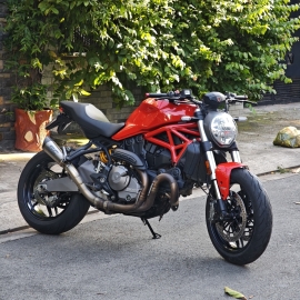 Monster 821 2019